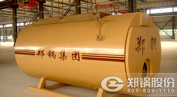 WNS燃?xì)庹羝仩t