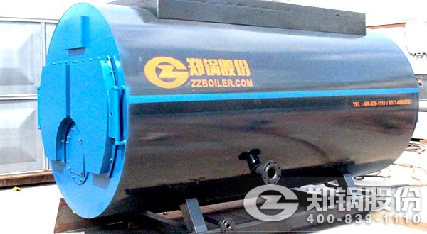 4噸的燃?xì)庹羝仩t