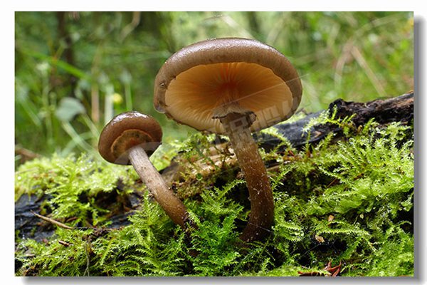 2噸天燃?xì)鉄崴仩t廠商哪家性價(jià)比高?